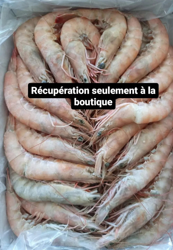 Crevette rosée Royale (barquette de 1kg)