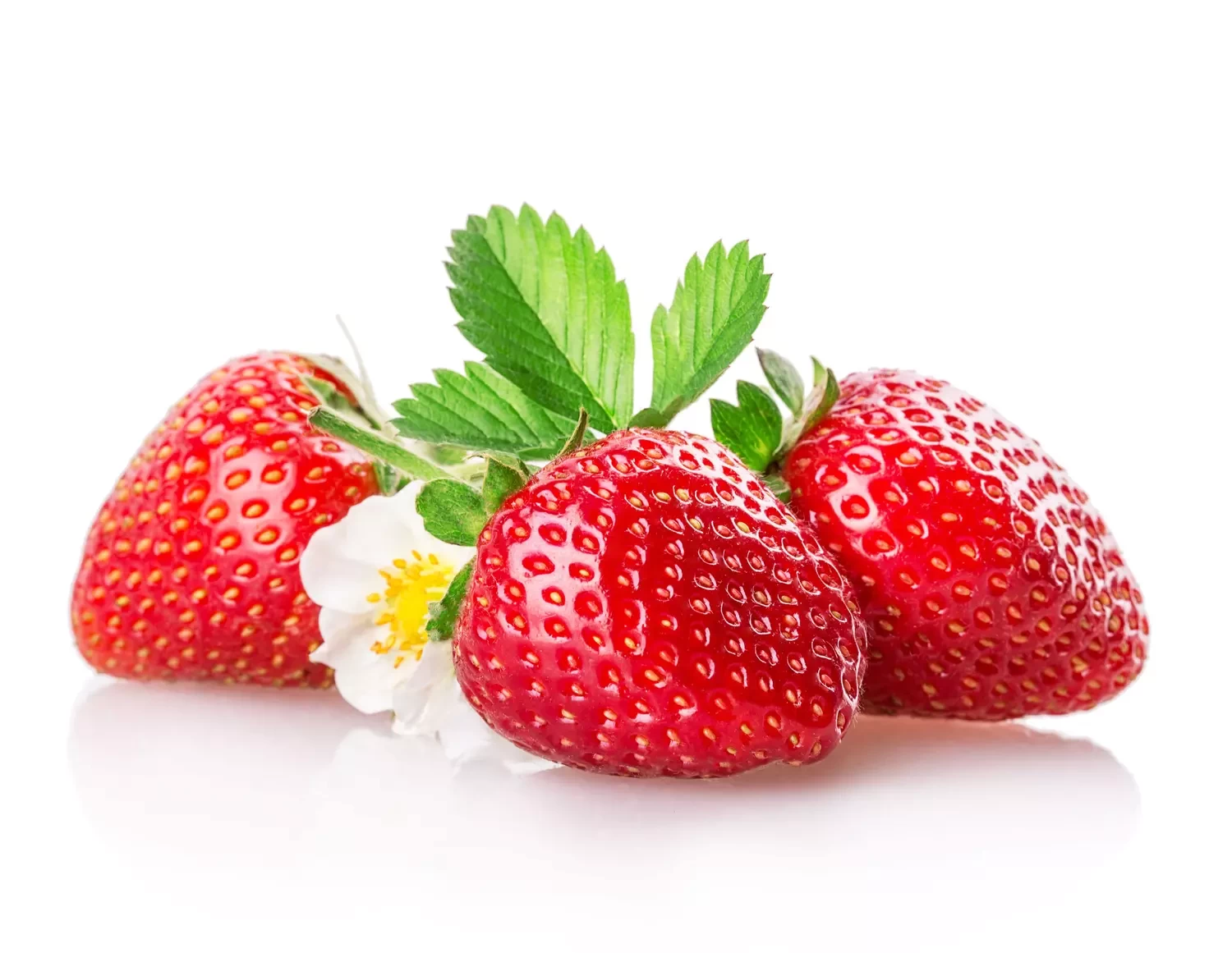 fraise bio 500gr