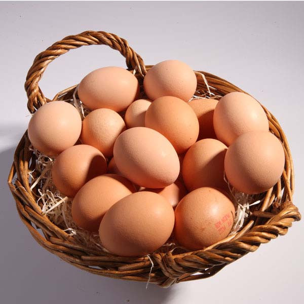 Plateau oeufs Fermiers (30pc)