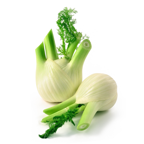 Fenouil