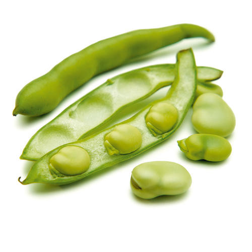 fève bio