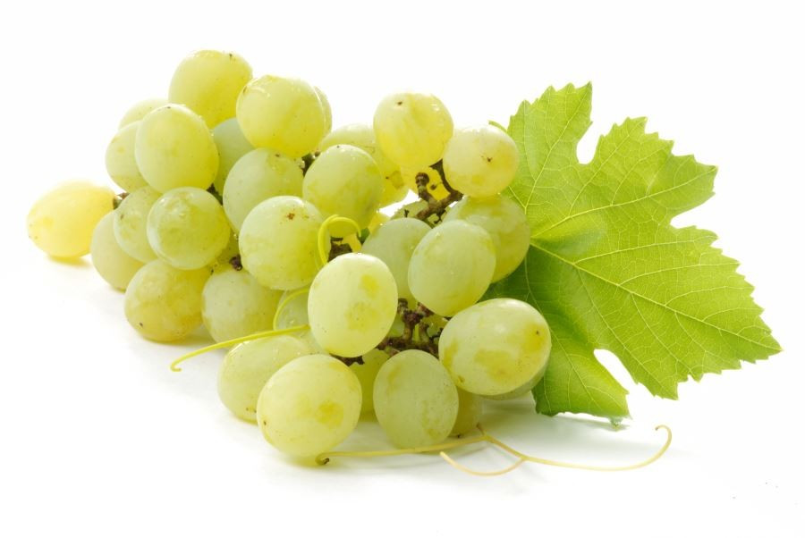 Raisin jaune bio
