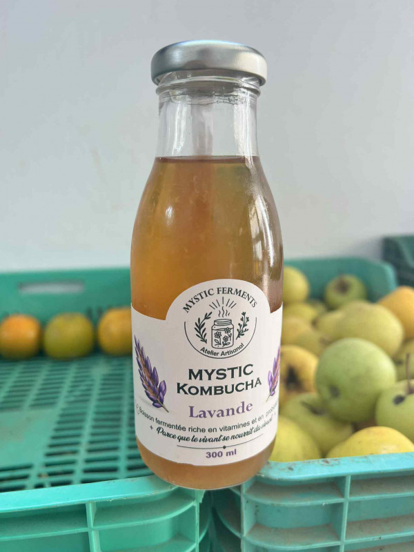 Kombucha lavande